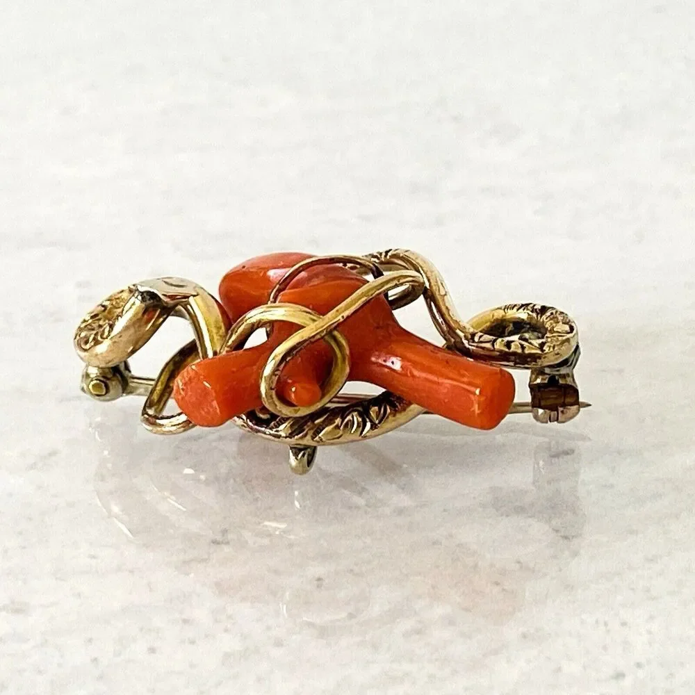 Antique Victorian Coral Branch Brooch In Gold Filled Snake Form Nice 1.5